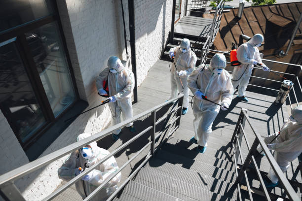 Best Attic Mold Removal  in Ladson, SC
