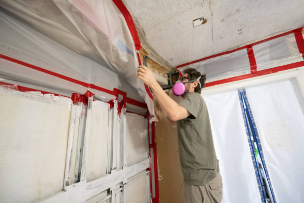 Best Biohazard Mold Removal  in Ladson, SC