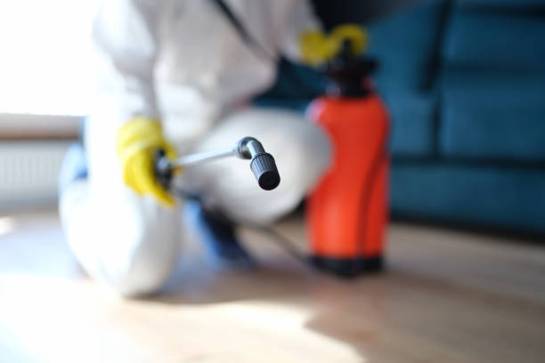 Best Commercial Mold Inspection  in Ladson, SC