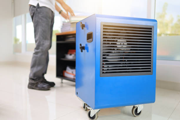 Best Mold-Related Health Consultation  in Ladson, SC